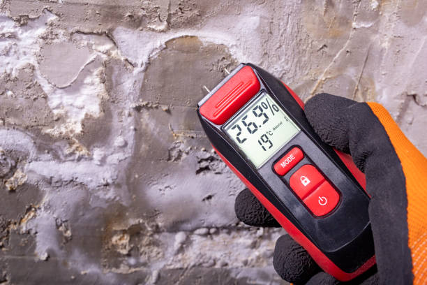 Best Certified Mold Removal  in Reno, TX