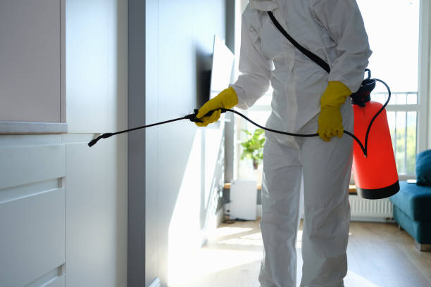 Best Crawl Space Mold Removal  in Reno, TX